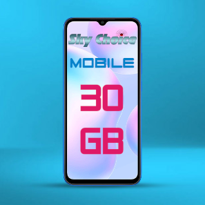 MobPhonePlanLogo_30GB.png